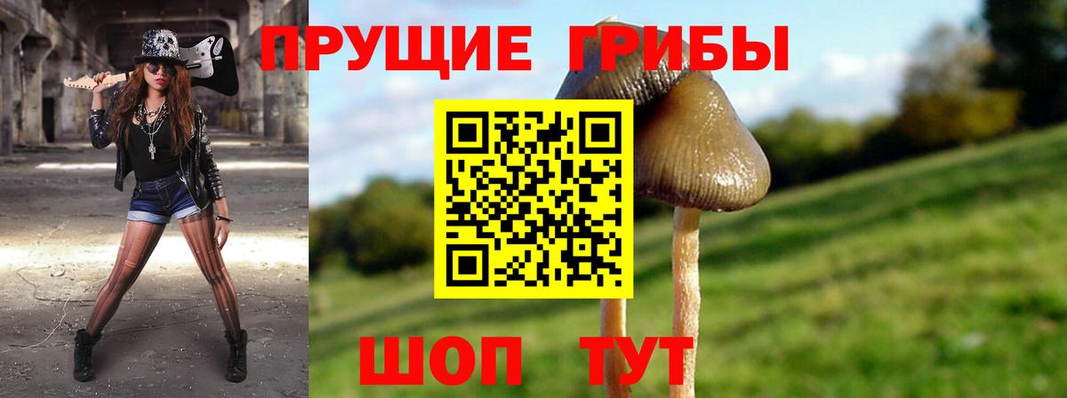 Псилоцибиновые грибы MAGIC MUSHROOMS Тулун